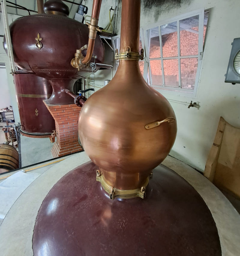 Distillerie à visiter gîte Cognac