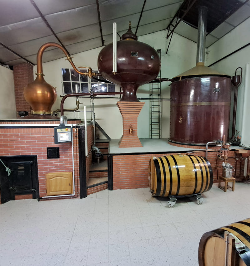 Visite distillerie Cognac