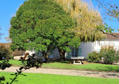 Gîte paisible dans le vignoble de Cognac